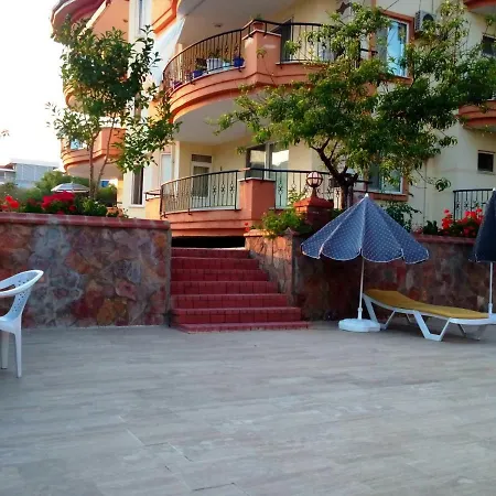 Markovic Kestel Sun *