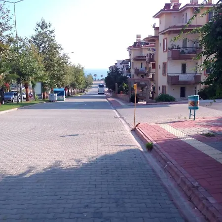 Markovic Kestel Sun *